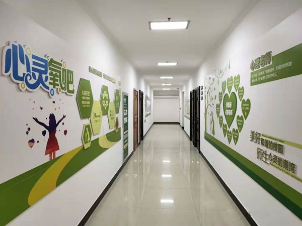 濮阳第八中学心理咨询室图片