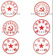 （社会心理服务方案）重庆市社会心理服务体系
